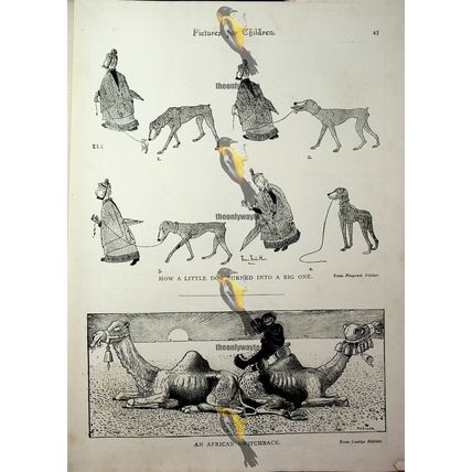 Little Dog Turned Into Big Dog, Children's Pictures, Book Illustration, 1893