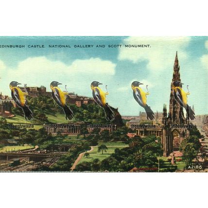 Edinburgh Castle National Gallery & Scott Monument, Valentines Valesque Postcard