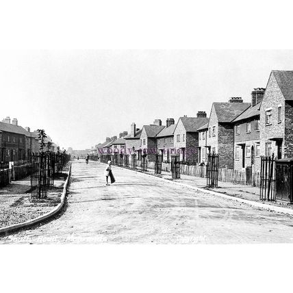 pu3544 - Yorks - Sapplings planted along South Road, Moorends - print 6x4