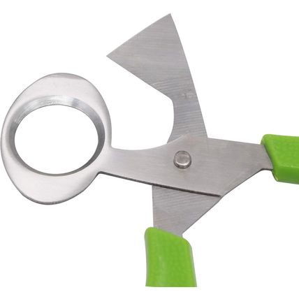 Quail Egg Cutter Scissors Stainless Steel Pigeon Bird Egg Opener Pack of 12