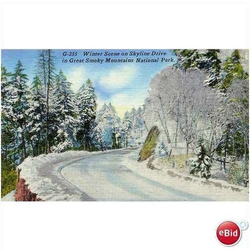 1950's "Winter Scene on Skyline Drive" Great Smokies