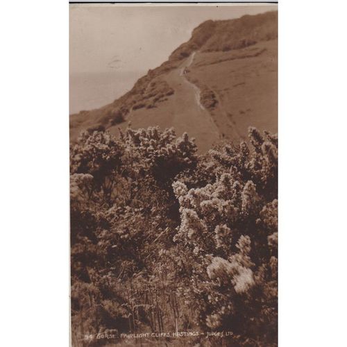 Fairlight Cliffs Hastings Sussex Postcard (Sx71755)