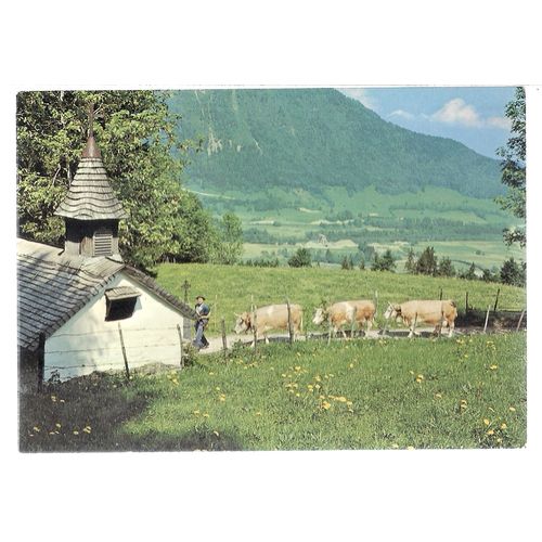 ALPINE PASTURES, SWITZERLAND unused vintage postcard #