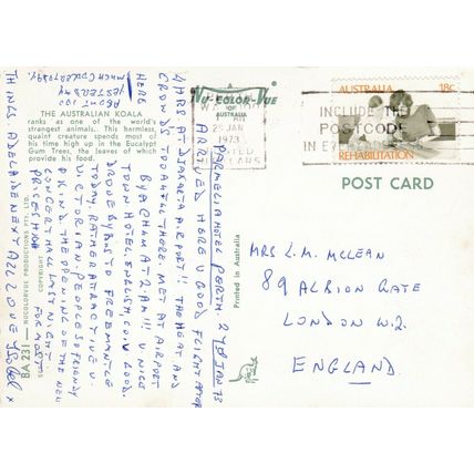 Koala Bear Postcard posted 1973 VGC