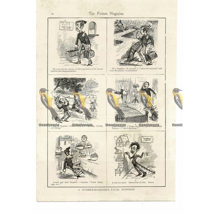 Summer Boarders Fatal Surprise, Humour, Book Illustration (Print), 1895