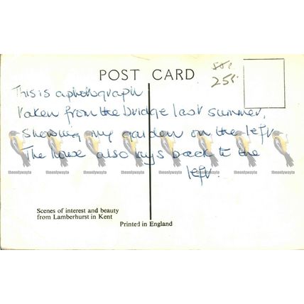 Lamberhurst, Kent, Rare RP Postcard
