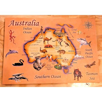 Australia 14 X 20 Illustrated Country Map On Canvas Wood Framed Oceans & Sealife