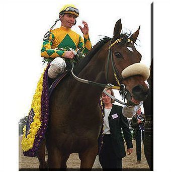 DVD - 1998 BREEDERS' CUP: SILVERBULLETDAY/Artax/AWESOME AGAIN/Reraise/BUCKS BOY