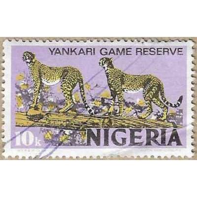 1973 - Cheetah - 16533