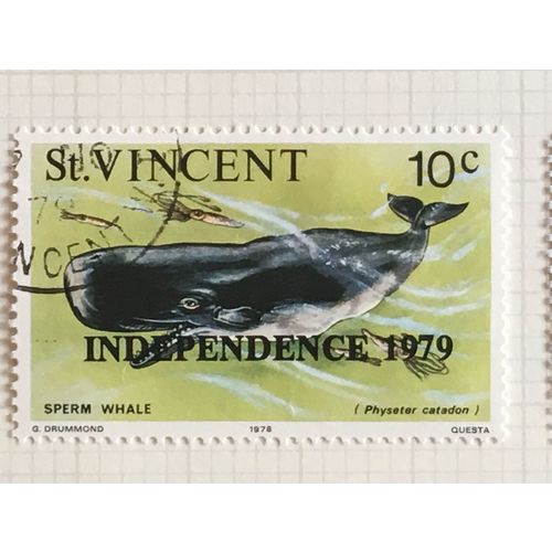 St Vincent 1979 Independence Marine Life 10c Sperm Whale Used SG611 Sc 576 stamp