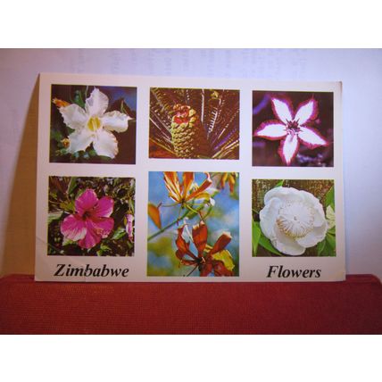 FLOWERS, ZIMBABWE, used postcard #