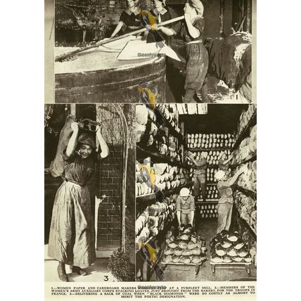 Women At Work During The Great War (7), And On Reverse, Book Illustration, 1936