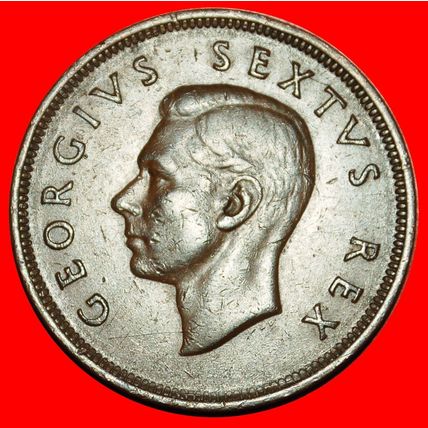 Ⰶ NO INDIA (1948-1952): SOUTH AFRICA ★ 1 PENNY 1952 SHIP! ★LOW START★NO RESERVE