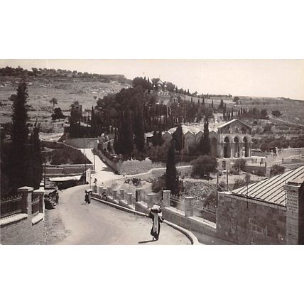 Garden of Gethsemane : photo-style postcard P 49
