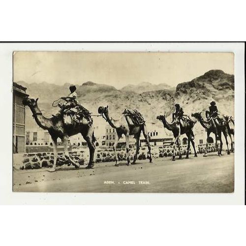 ADEN Camel Train Postcard by Bondfix