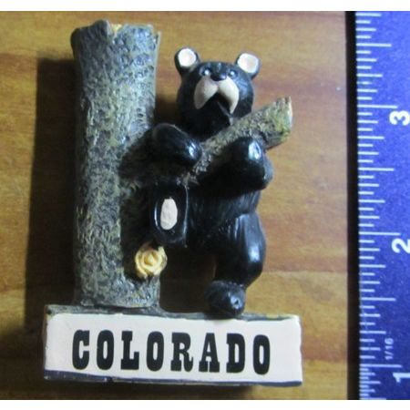 State Magnet Colorado with Bear