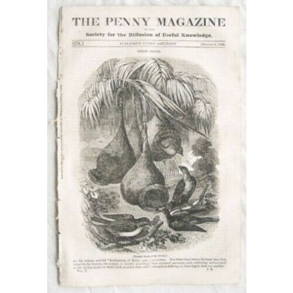 1836 The Penny Magazine No. 279 Fribourg Suspension Bridge. ancient books, etc.