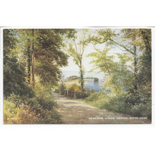 Kewstoke Woods Weston Super Mare Somerset Brian Gerald Art Postcard A869