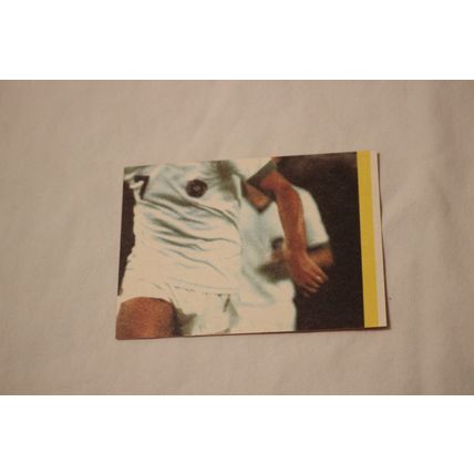 San Jose Earthquakes 1979 Topps LOGO STICKER NO. 23