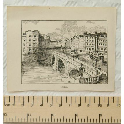 Vintage engraving - Cork