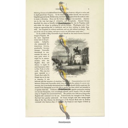 Union Park, New York, USA, Book Illustration (Print), c1870