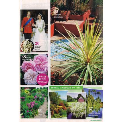 Woman's Weekly Gardening Magazine Late Spring April 2013 Living Series