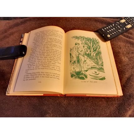 The Happy Hollister's And The Sea Turtle Mystery By Jerry West W/Dustjacket 1964