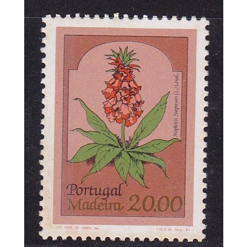 MADEIRA 1981 FLOWERS 20E VALUE MNH