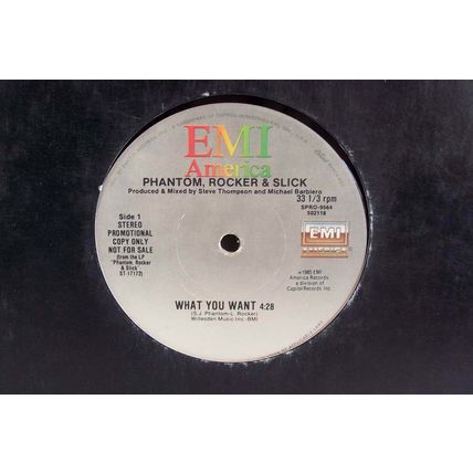 Phantom, Rocker & Slick - What You Want Single PROMO Vinyl Record SPRO-9564