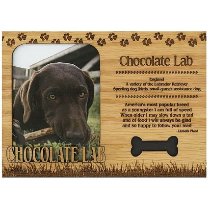 Chocolate Lab Engraved Wood Picture Frame Magnet