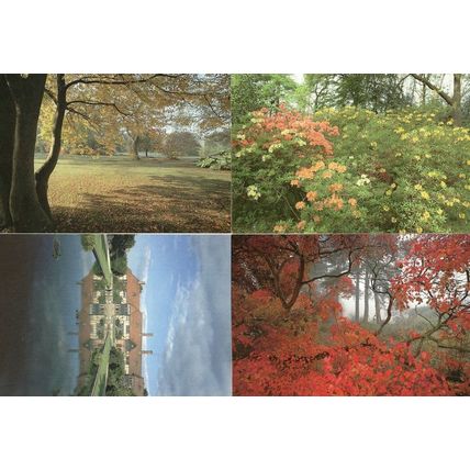 Royal Horticultural Society Gardens Surrey 4x Postcard s