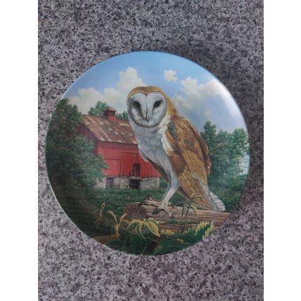 'The Barn Owl' from the Stately Owls Collection for Knowles China