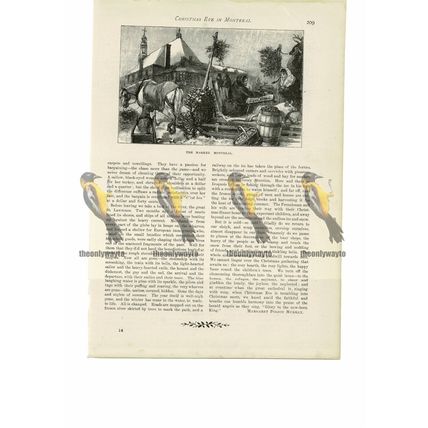 Montreal Market on Christmas Eve, Canada, Book Illustration (Print), 1888