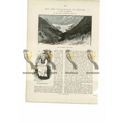 Buarbrae, Near Odde, Norway, Book Illustration (Print), 1888