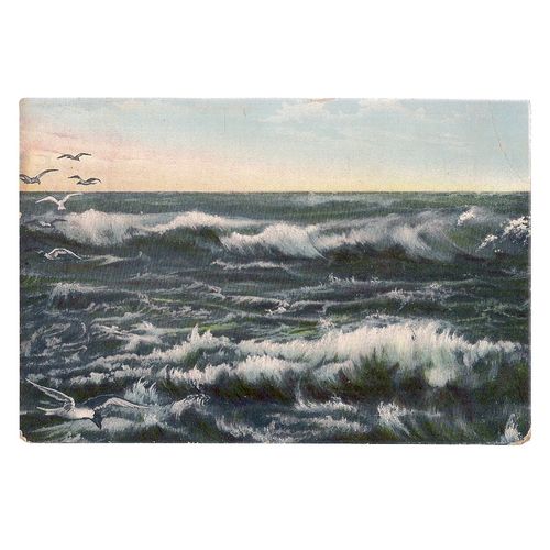 ROUGH SEA WITH SEAGULLS used antique postcard 1906 postmark #