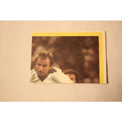 Tampa Bay Rowdies 1979 Topps LOGO STICKER NO. 22