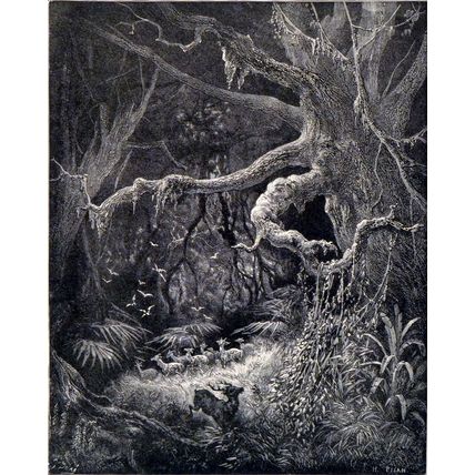 FORESTS ON THE BANKS OF THE MISSISSIPPI 1885 Gustave Doré ANTIQUE ENGRAVING