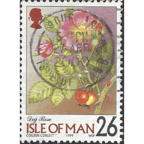 ISLE OF MAN, FLOWER, Dog Rose, pink 1999, 26p, #3
