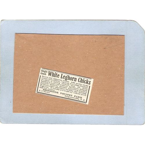 New Jersey Sergeantsille Newspaper Ad Apr 22 1922 White Leghorn Chicks Fro~3336