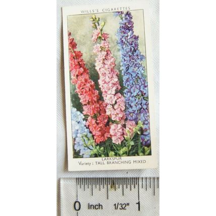 1939 Wills Garden Flowers No. 26 Larkspur