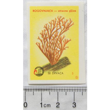 vintage Yugoslavia Matchbox Label - Toadstool, Rogovnjaca