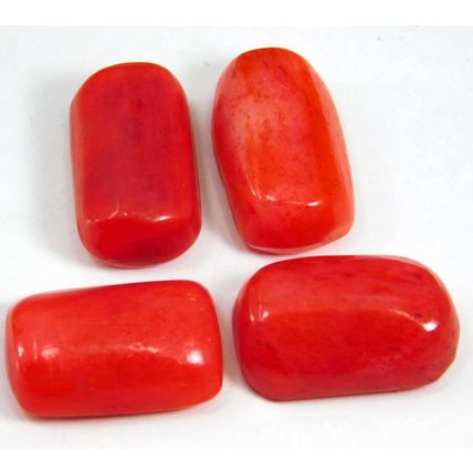 Natural 35.50 Ct Italian Red Coral "Cabochon" Cut Loose Gemstone Lot