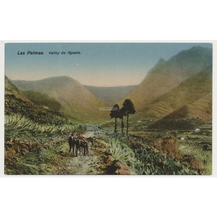 GRAN CANARIA Las Palmas Valle De Agaete early 20th C. Rodrigues 22 RPPC Spain