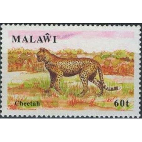 Malawi 1991 Wildlife 60t Cheetah Unmounted Mint NHM SG 859 Sc 583 postage Stamp