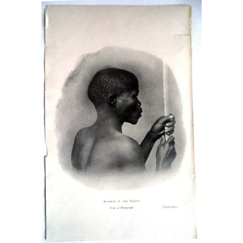 Antique Print 1905 African Bushman of Gariep River Africa Hunter Ethnic Tribe