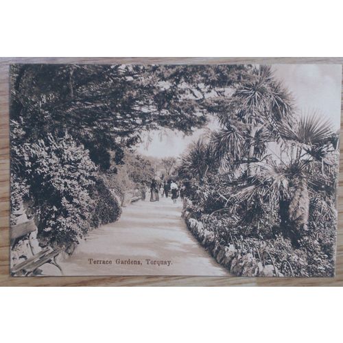 Postcard: Devon, Torquay, Terrace Gardens: c1920.......................(Pines)