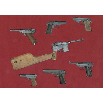 WW2 Guns Of The Third Reich Germany Waltham PP Mause HSC Polish Model Postcard