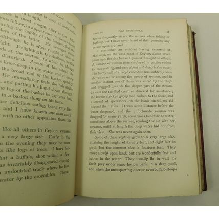 Antique Victorian Leather Hunting Book Rifle and The Hound In Ceylon 1874 Baker