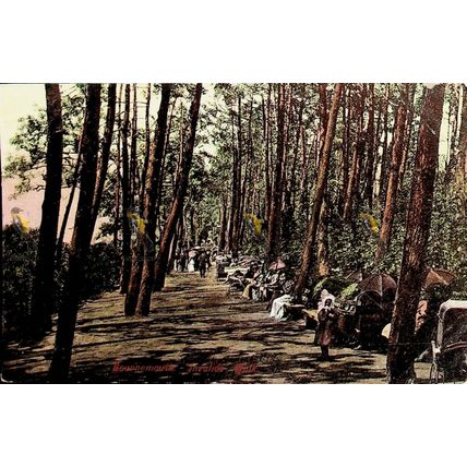 Invalids Walk, Bournemouth, Dorset, Pristine Prussia Postcard, 1900s