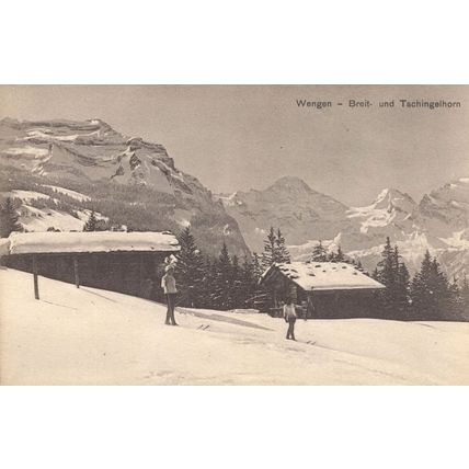 Skiing Wengen Breit Und Tachingelhorn Switzerland Old Postcard